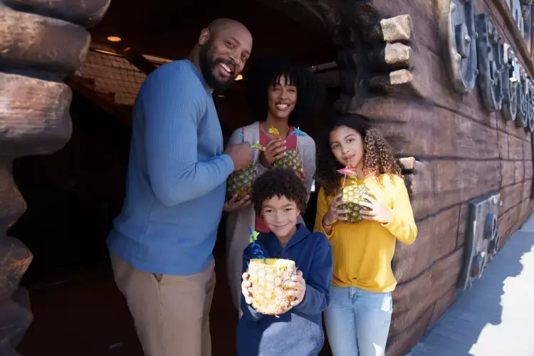 family at sky pirates of mermaid bay